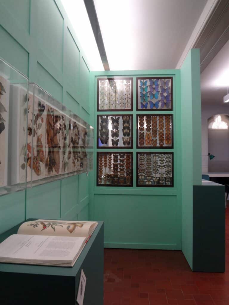 Manchester Museum Exhibition Cabinetry